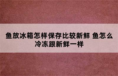 鱼放冰箱怎样保存比较新鲜 鱼怎么冷冻跟新鲜一样